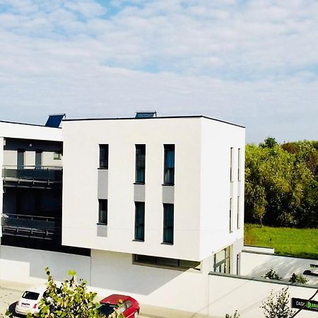 Casa Maria City Apartments Timisoara Exterior foto