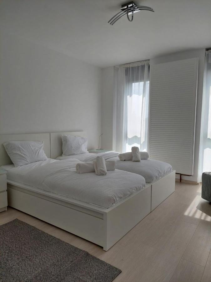 Casa Maria City Apartments Timisoara Exterior foto
